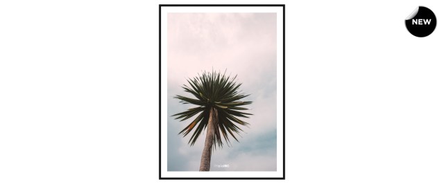 Tall Palm διακοσμητικός πίνακας